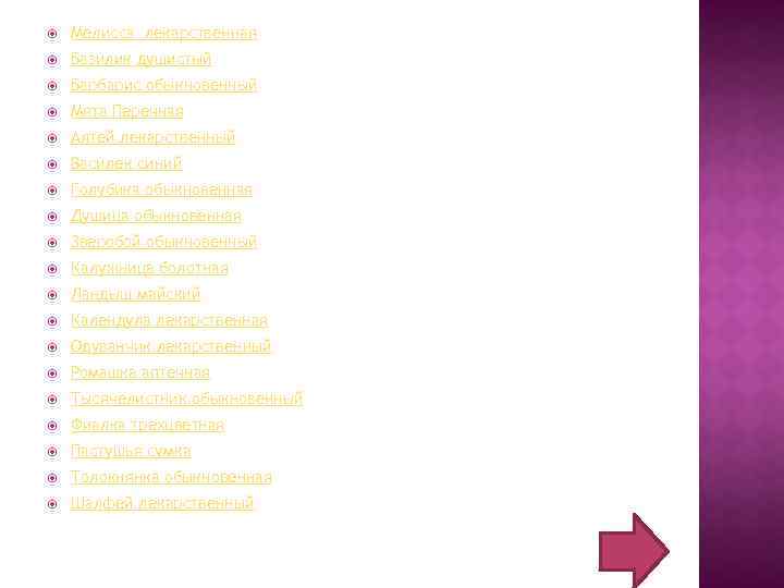  Мелисса лекарственная Базилик душистый Барбарис обыкновенный Мята Перечная Алтей лекарственный Василек синий Голубика