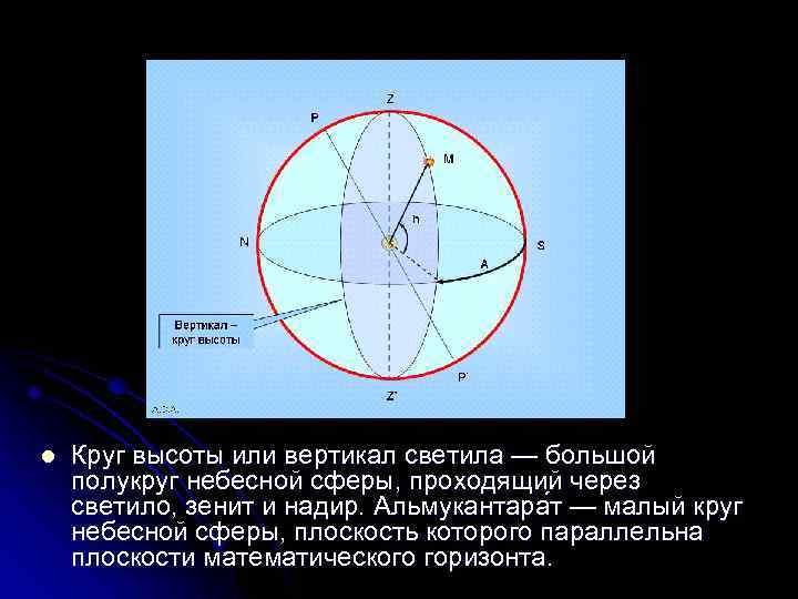 Высота окружности