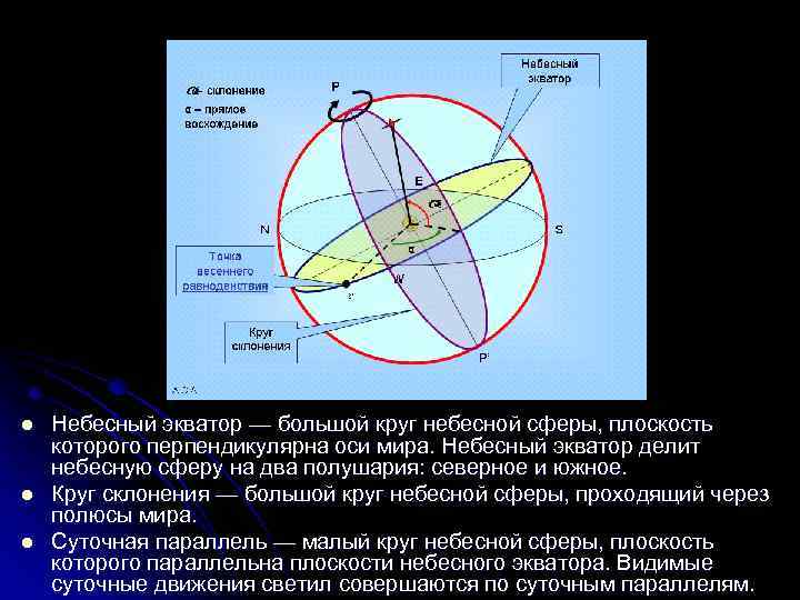 Небесная сфера небесный экватор