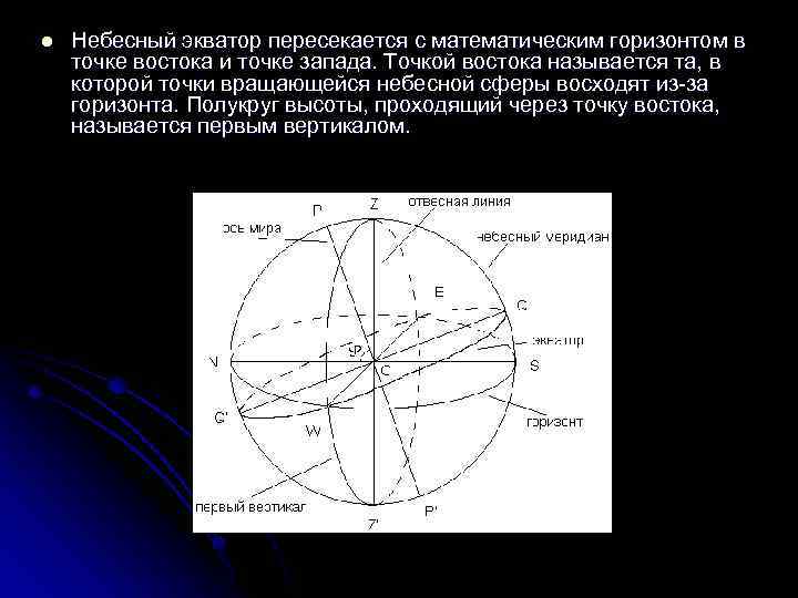 Небесная сфера небесный экватор