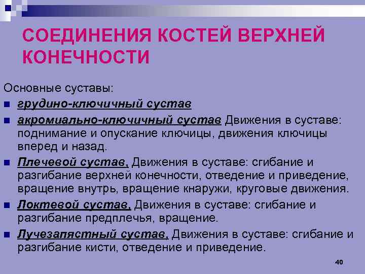 СОЕДИНЕНИЯ КОСТЕЙ ВЕРХНЕЙ КОНЕЧНОСТИ Основные суставы: n грудино-ключичный сустав n акромиально-ключичный сустав Движения в