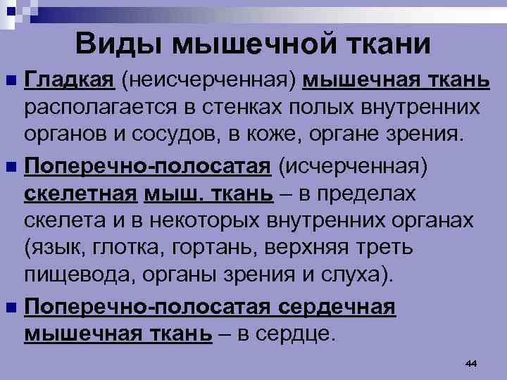 Виды мышечной ткани Гладкая (неисчерченная) мышечная ткань располагается в стенках полых внутренних органов и