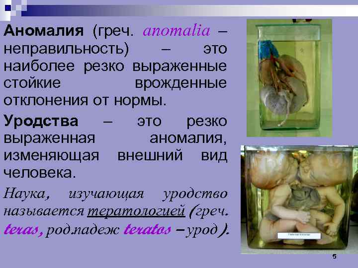 Аномалия (греч. anomalia – неправильность) – это наиболее резко выраженные стойкие врожденные отклонения от