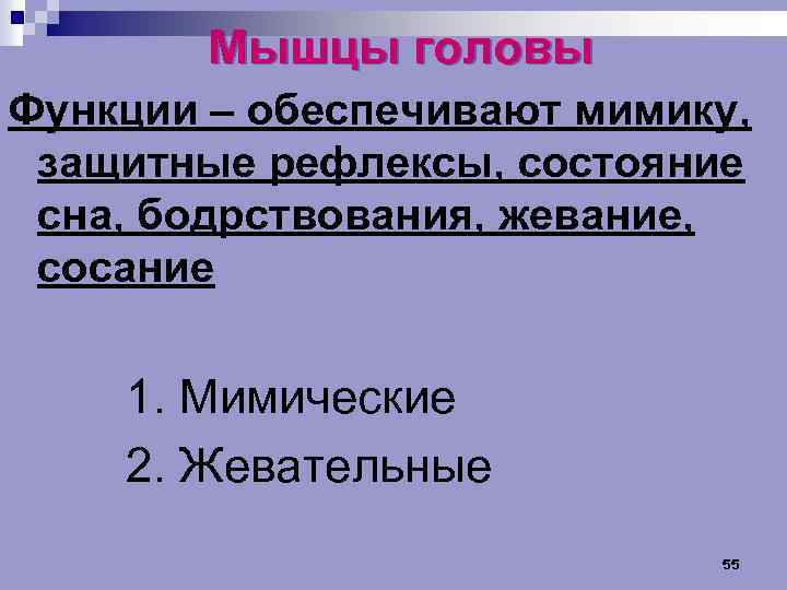 Мышцы головы Функции – обеспечивают мимику, защитные рефлексы, состояние сна, бодрствования, жевание, сосание 1.