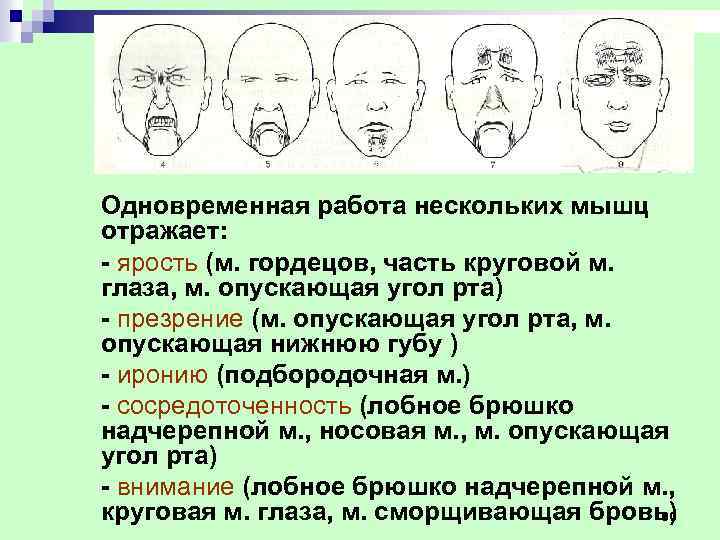 Опущенный рот. Опущен правый угол рта. Уголок рта опущен причины. Опускание уголков рта вниз причины.