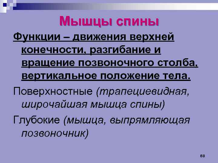 Мышцы спины Функции – движения верхней конечности, разгибание и вращение позвоночного столба, вертикальное положение