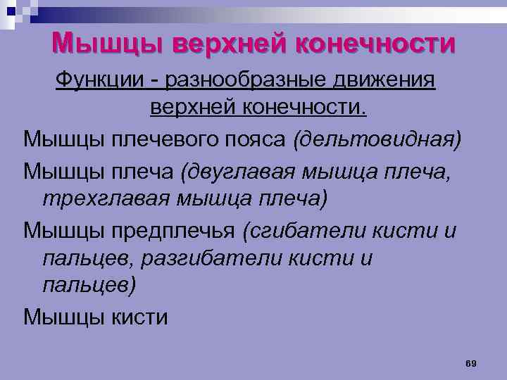 Мышцы верхней конечности Функции разнообразные движения верхней конечности. Мышцы плечевого пояса (дельтовидная) Мышцы плеча