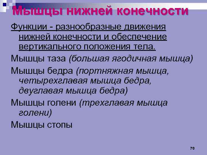Мышцы нижней конечности Функции разнообразные движения нижней конечности и обеспечение вертикального положения тела. Мышцы