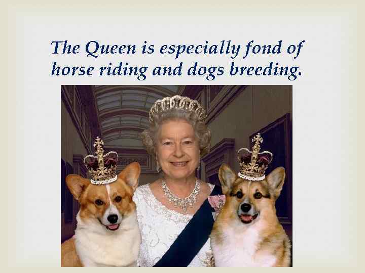 The Queen is especially fond of horse riding and dogs breeding. 