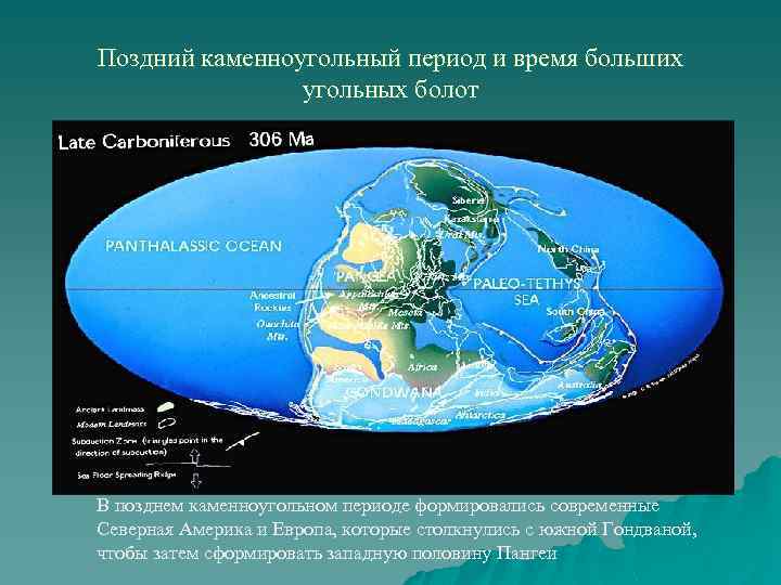 Каменноугольный период рисунок