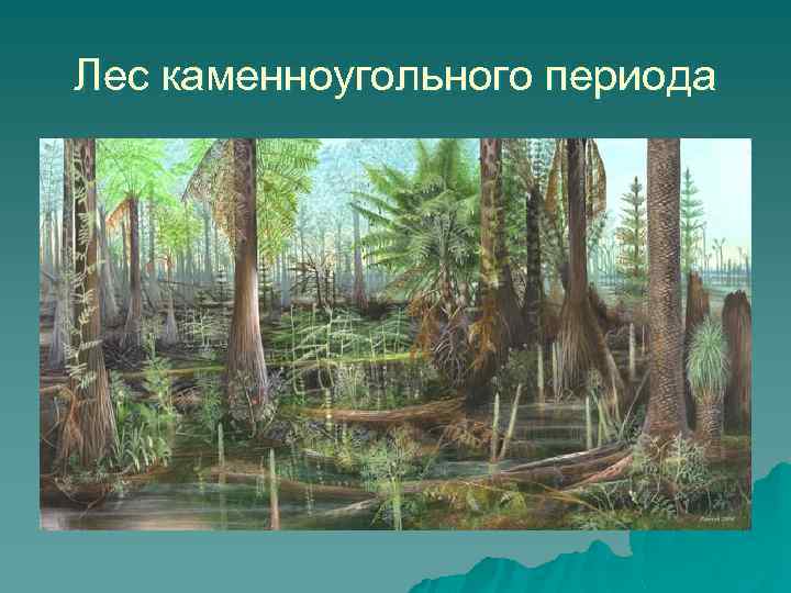 Лес каменноугольного периода 