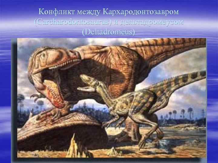 Конфликт между Кархародонтозавром (Carcharodontosaurus) и дельтадромеусом (Deltadromeus) 