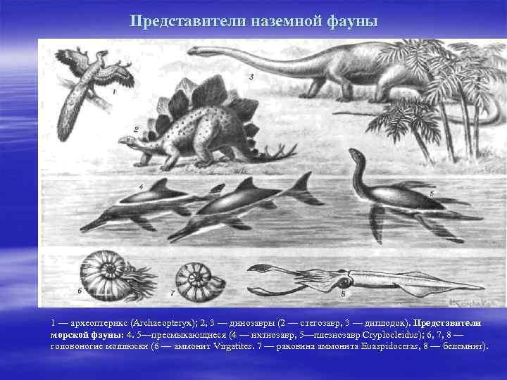 Представители наземной фауны 1 — археоптерикс (Archaeopteryx); 2, 3 — динозавры (2 — стегозавр,