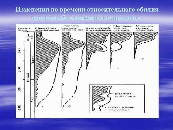  Изменения во времени относительного обилия основных биотических компонентов 