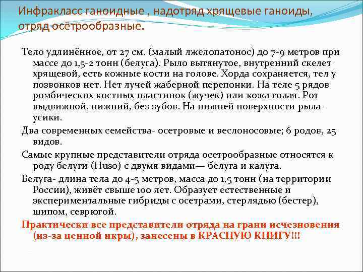 Инфракласс ганоидные , надотряд хрящевые ганоиды, отряд осётрообразные. Тело удлинённое, от 27 см. (малый