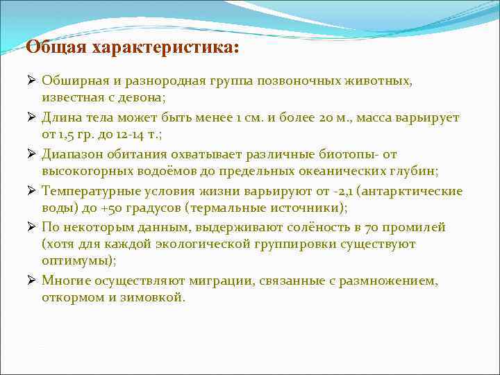 Общая характеристика: Ø Обширная и разнородная группа позвоночных животных, известная с девона; Ø Длина