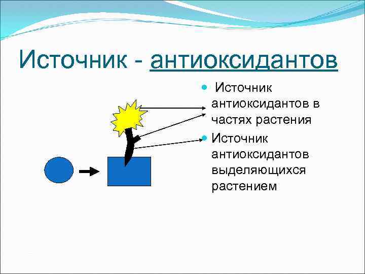 Источник - антиоксидантов Источник антиоксидантов в частях растения Источник антиоксидантов выделяющихся растением 