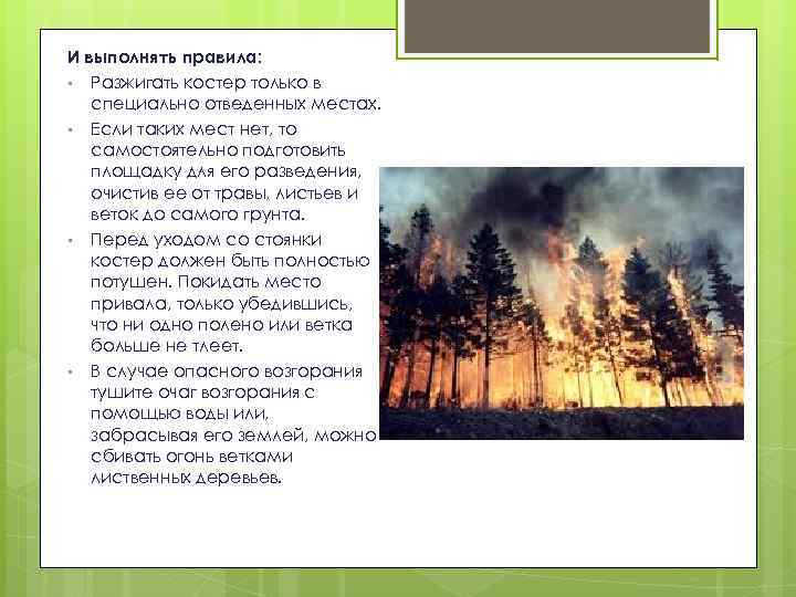 Изложение 4 класс лесной пожар презентация