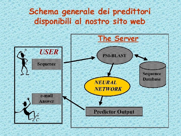 Schema generale dei predittori disponibili al nostro sito web 