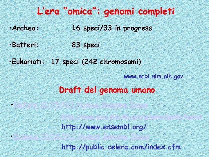 L’era “omica”: genomi completi • Archea: 16 speci/33 in progress • Batteri: 83 speci
