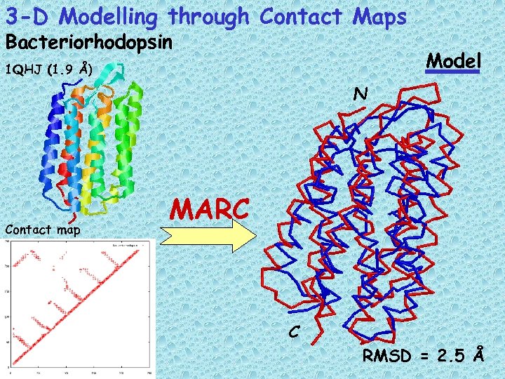 3 -D Modelling through Contact Maps Bacteriorhodopsin Model 1 QHJ (1. 9 Å) N