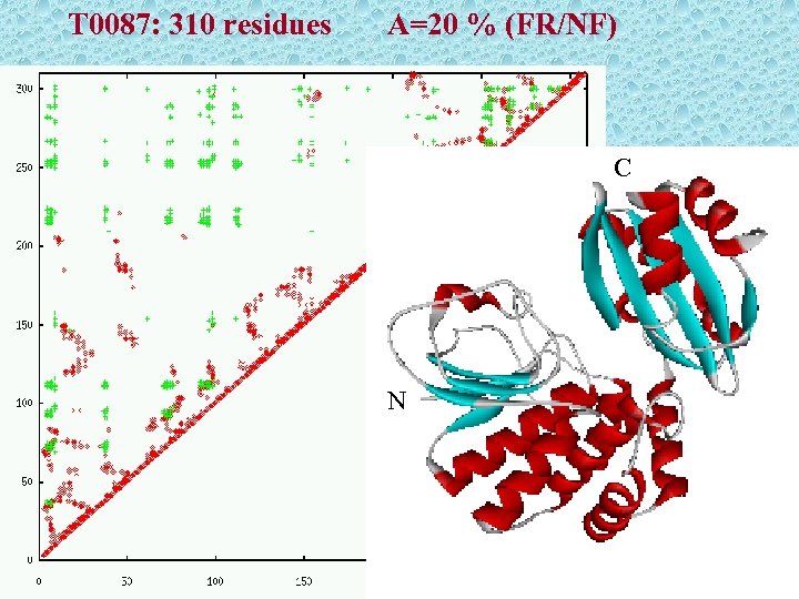 T 0087: 310 residues A=20 % (FR/NF) C N 
