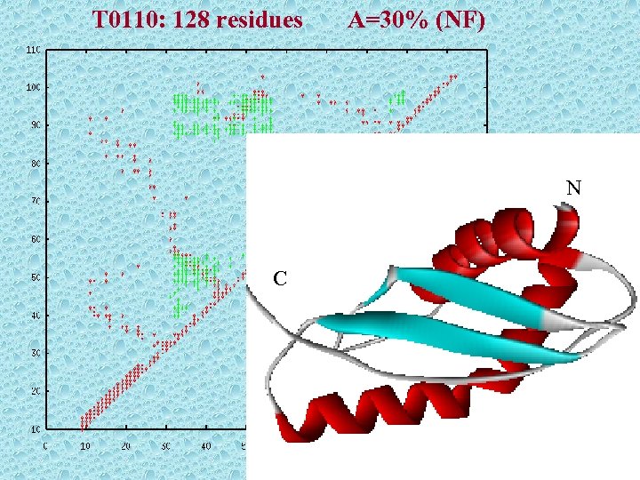 T 0110: 128 residues A=30% (NF) N C 
