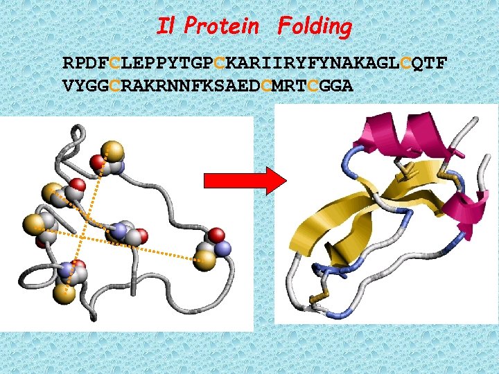 Il Protein Folding RPDFCLEPPYTGPCKARIIRYFYNAKAGLCQTF VYGGCRAKRNNFKSAEDCMRTCGGA 