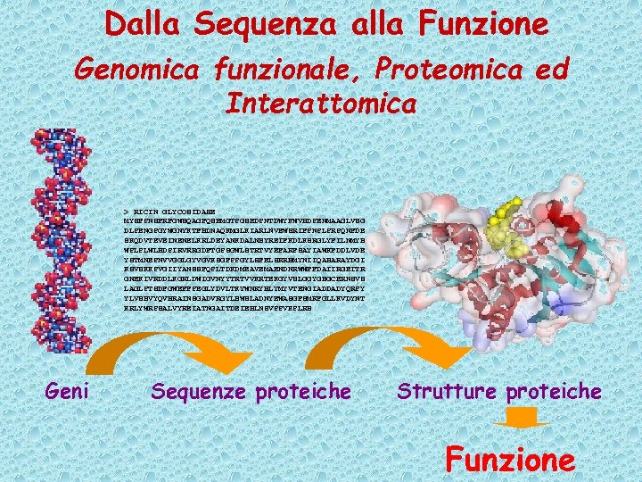 Dalla Sequenza alla Funzione Genomica funzionale, Proteomica ed Interattomica > RICIN GLYCOSIDASE MYSFPNSFRFGWSQAGFQSEMGTPGSEDPNTDWYKWVHDPENMAAGLVSG DLPENGPGYWGNYKTFHDNAQKMGLKIARLNVEWSRIFPNPLPRPQNFDE