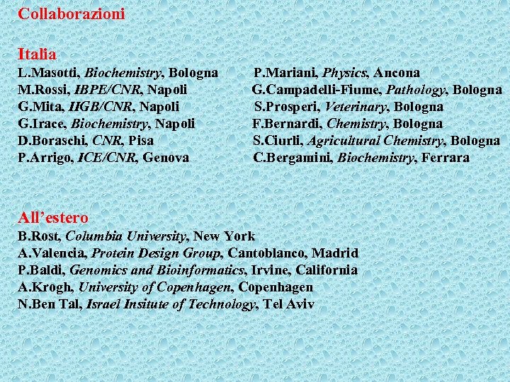 Collaborazioni Italia L. Masotti, Biochemistry, Bologna M. Rossi, IBPE/CNR, Napoli G. Mita, IIGB/CNR, Napoli