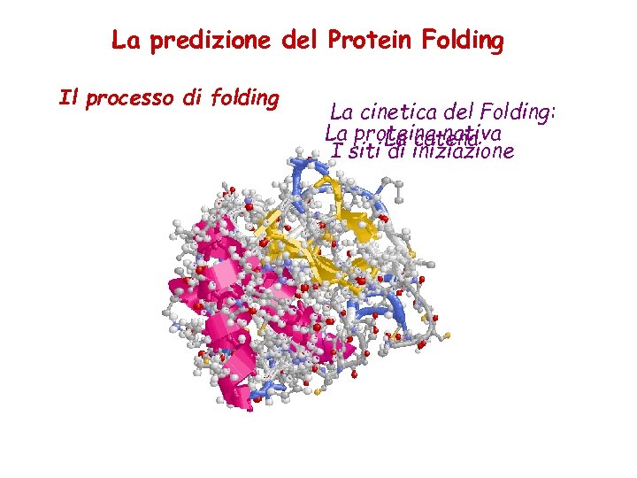 La predizione del Protein Folding Il processo di folding La cinetica del Folding: La