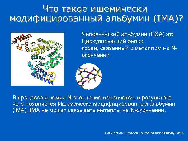 Что такое ишемически модифицированный альбумин (IMA)? Человеческий альбумин (HSA) это Циркулирующий белок крови, связанный