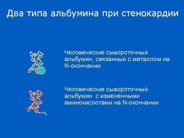 Два типа альбумина при стенокардии Cu++ Человеческие сывороточный альбумин, связанный с металлом на N-окончании