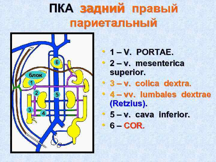 ПКА задний правый париетальный 6 блок 1 2 3 5 4 • 1 –