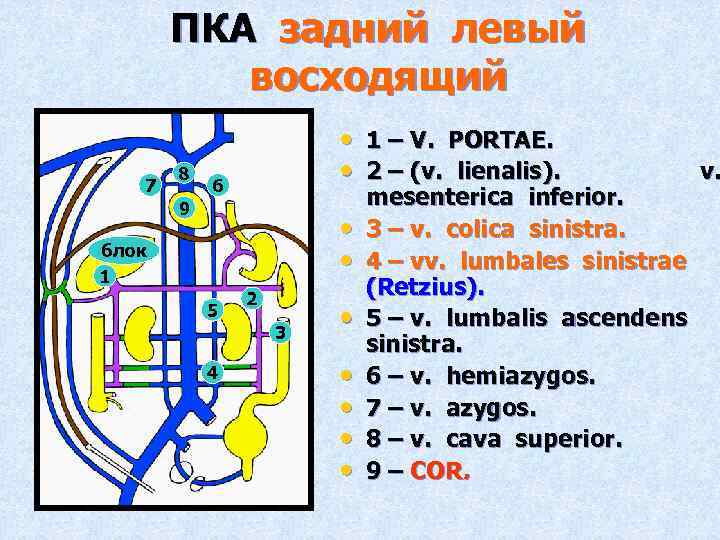 ПКА задний левый восходящий 7 8 • • 6 9 • • блок 1