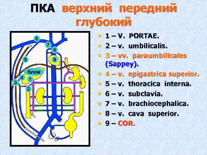 ПКА верхний передний глубокий 6 7 5 3 8 9 блок 4 1 2