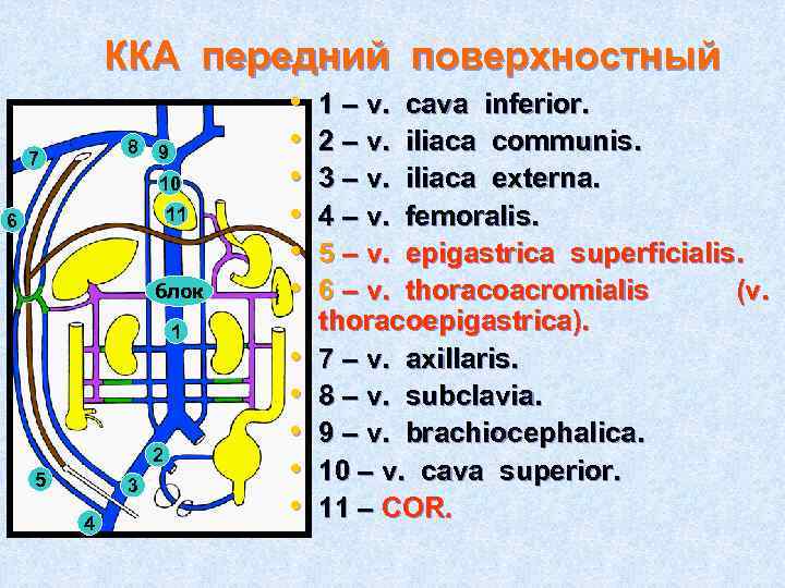 ККА передний поверхностный 8 7 9 10 11 6 блок 1 2 5 3