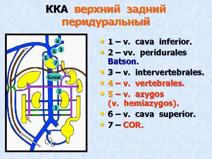 ККА верхний задний перидуральный 4 6 3 5 7 Блок 2 1 • 1