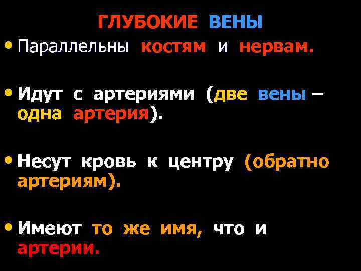 ГЛУБОКИЕ ВЕНЫ • Параллельны костям и нервам. • Идут с артериями (две вены –