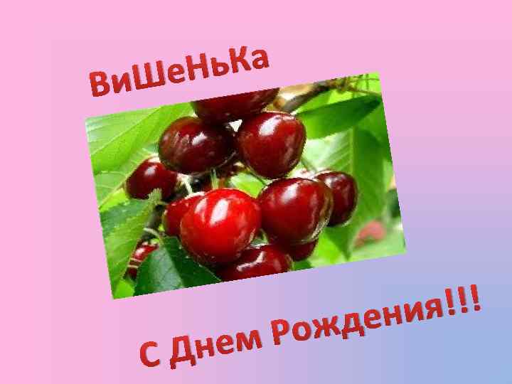 В ь. Ка Ше. Н и С Рож нем Д я!!! ени д 