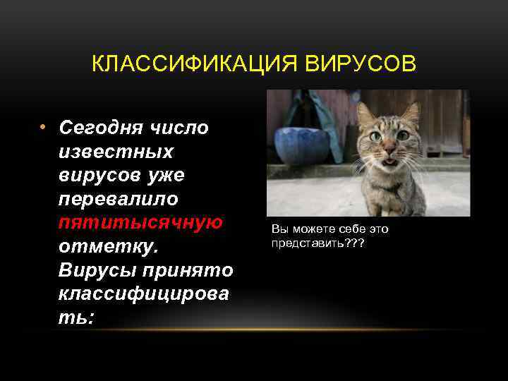 КЛАССИФИКАЦИЯ ВИРУСОВ • Сегодня число известных вирусов уже перевалило пятитысячную отметку. Вирусы принято классифицирова