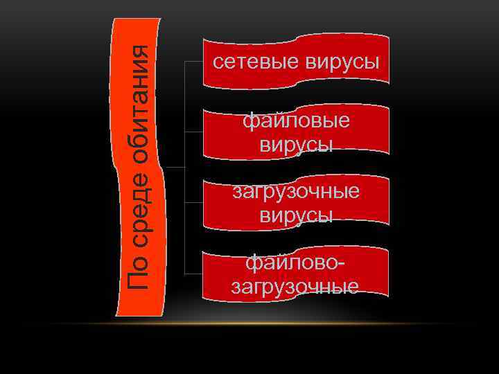 По среде обитания сетевые вирусы файловые вирусы загрузочные вирусы файловозагрузочные 