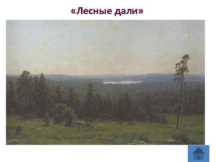  «Лесные дали» 