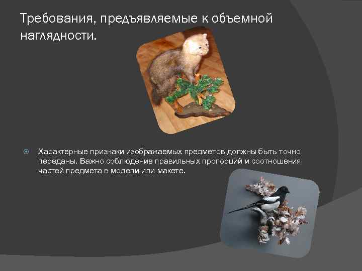 Требования, предъявляемые к объемной наглядности. Характерные признаки изображаемых предметов должны быть точно переданы. Важно