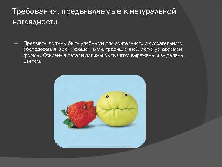 Требования, предъявляемые к натуральной наглядности. Предметы должны быть удобными для зрительного и осязательного обследования,