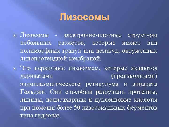 Лизосомы - электронно-плотные структуры небольших размеров, которые имеют вид полиморфных гранул или везикул, окруженных