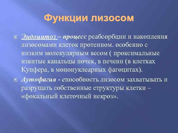 Функции лизосом Эндоцитоз – процесс реабсорбции и накопления лизосомами клеток протеином. особенно с низким