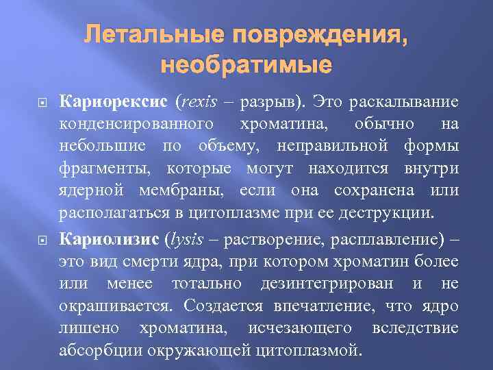 Летальные повреждения, необратимые Кариорексис (rexis – разрыв). Это раскалывание конденсированного хроматина, обычно на небольшие