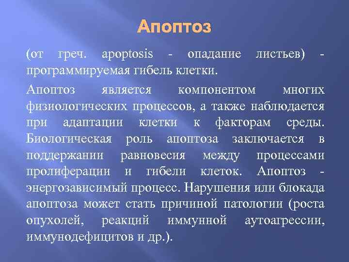 Апоптоз (от греч. apoptosis - опадание листьев) программируемая гибель клетки. Апоптоз является компонентом многих