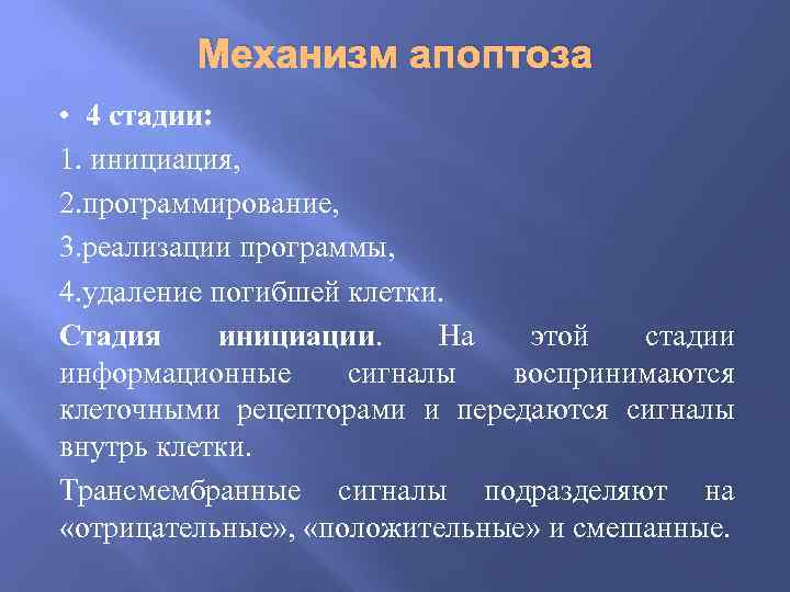 Механизм апоптоза • 4 стадии: 1. инициация, 2. программирование, 3. реализации программы, 4. удаление